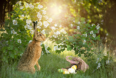 Bild: #416285083 von Photo-SD – Adobe Stock